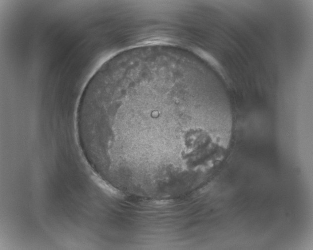 X0000067501423200604071214