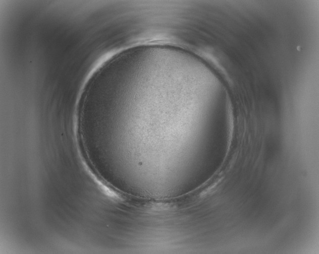 X0000067501424200604071214