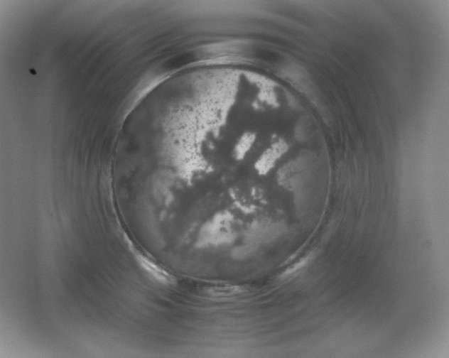 X0000067501425200604071214