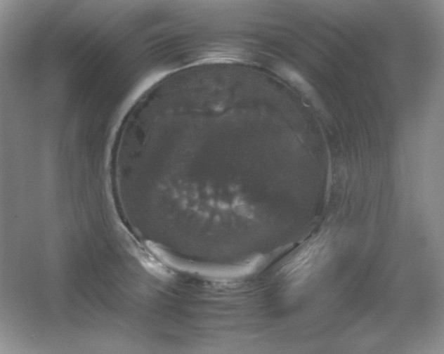 X0000067501427200604071215