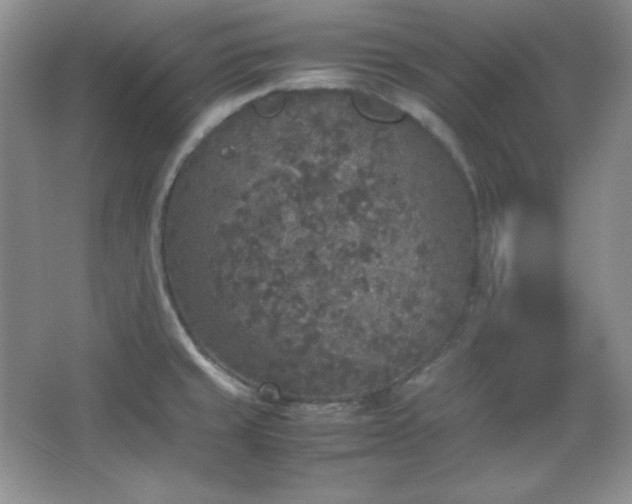 X0000067501429200604071215