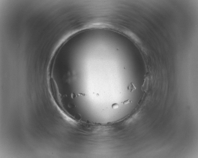 X0000067501430200604071215