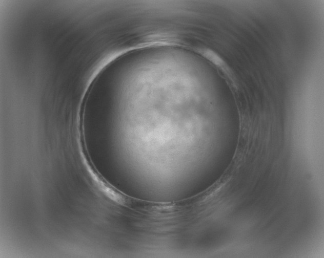 X0000067501431200604071215