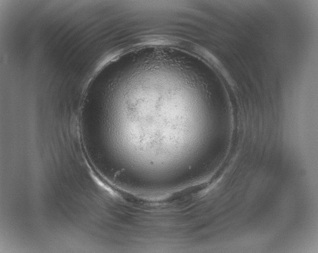 X0000067501433200604071215