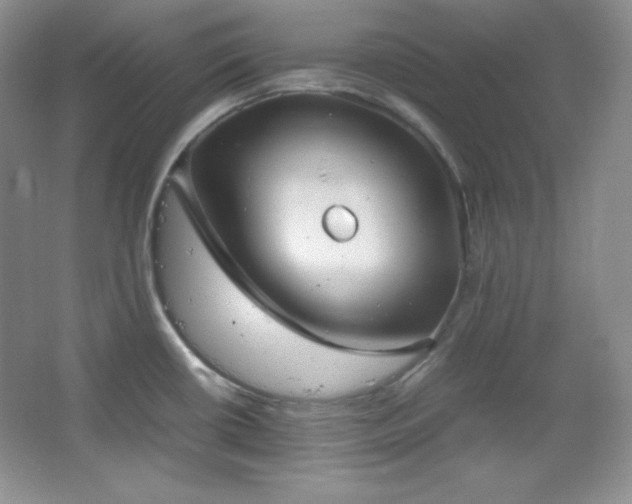 X0000067501434200604071215