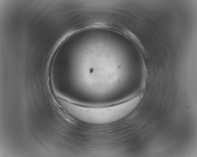 X0000067501435200604071215