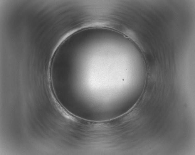 X0000067501436200604071215