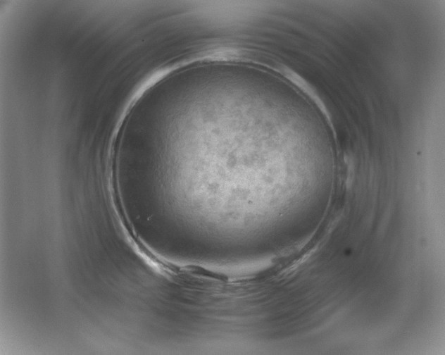 X0000067501437200604071215