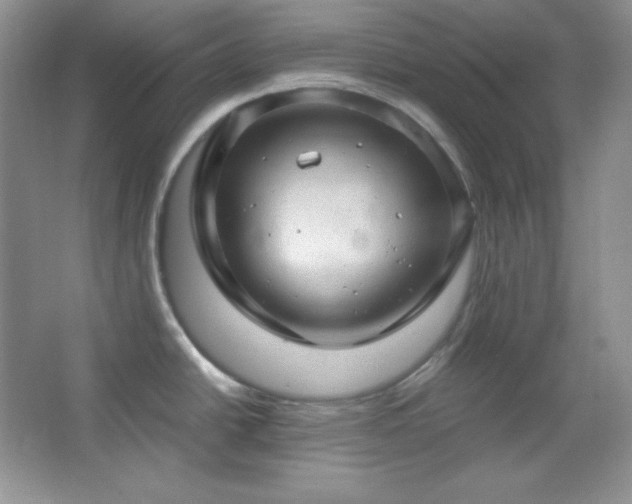 X0000067501438200604071215