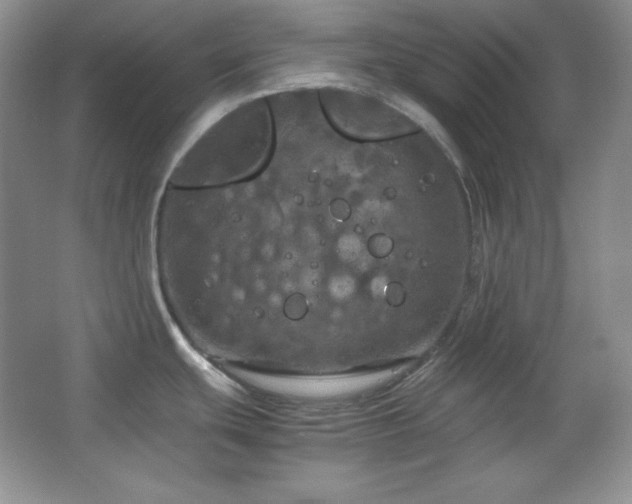 X0000067501439200604071215