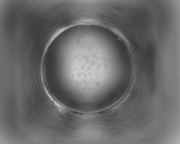 X0000067501440200604071215