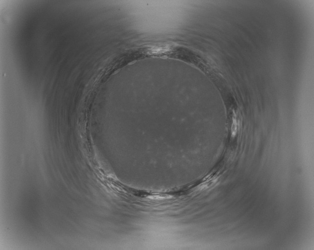 X0000067501441200604071214