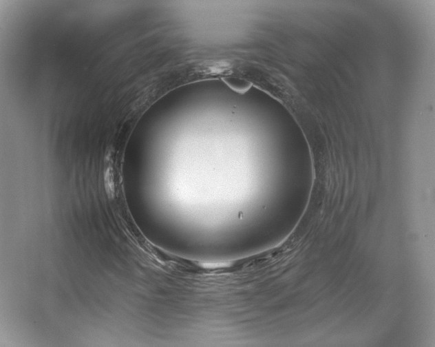 X0000067501442200604071214