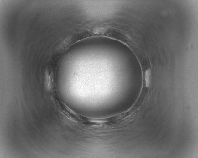 X0000067501443200604071214