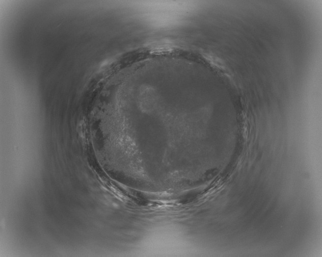 X0000067501445200604071214