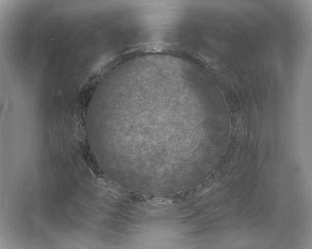 X0000067501446200604071214