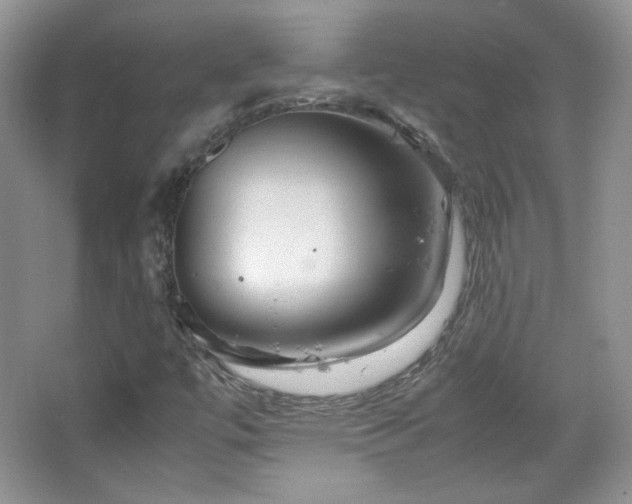 X0000067501447200604071214