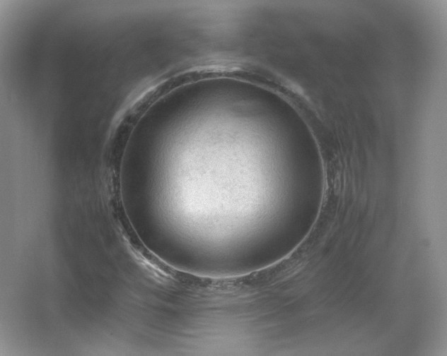 X0000067501448200604071214