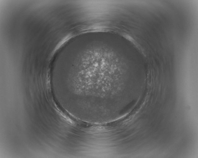 X0000067501450200604071214