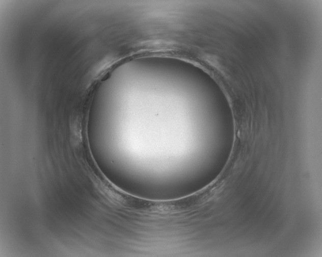 X0000067501451200604071214