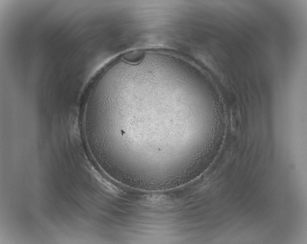 X0000067501452200604071214