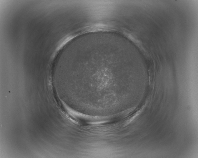 X0000067501453200604071214