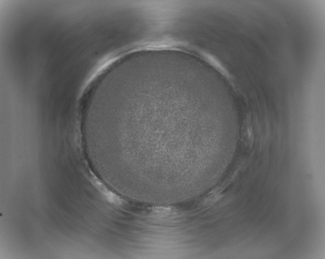 X0000067501456200604071214