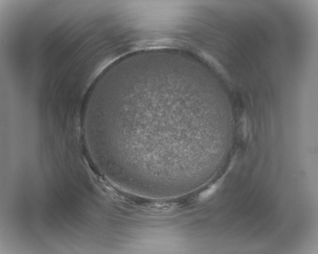 X0000067501457200604071214