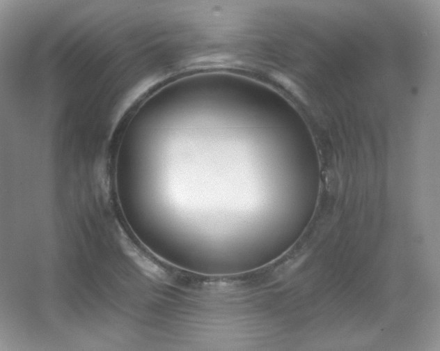 X0000067501458200604071214