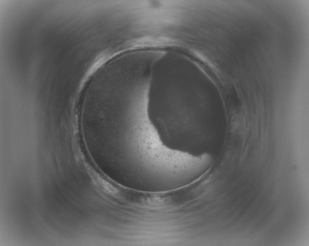 X0000067501459200604071214