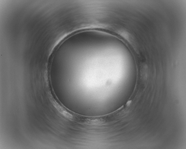 X0000067501460200604071214