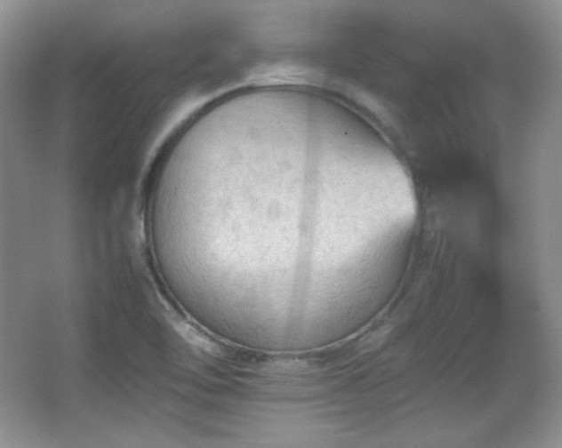 X0000067501462200604071214