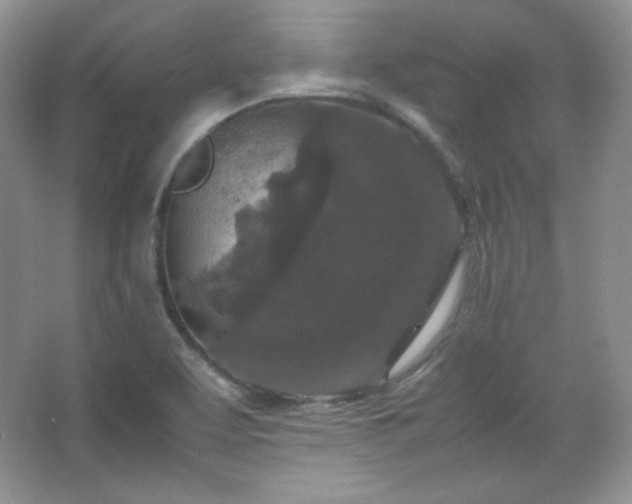 X0000067501463200604071214