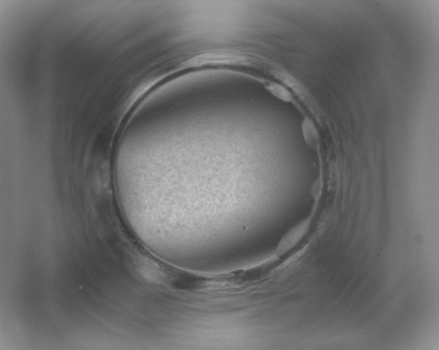 X0000067501465200604071214