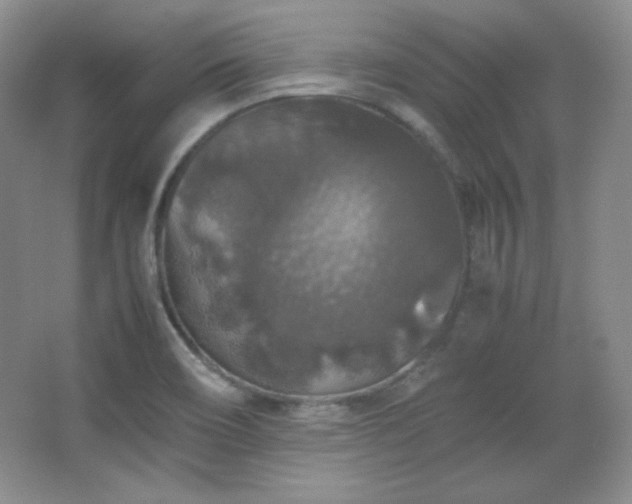 X0000067501466200604071214