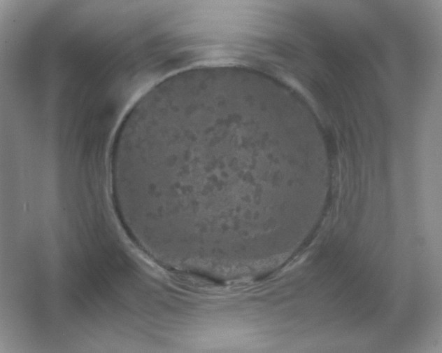 X0000067501467200604071213