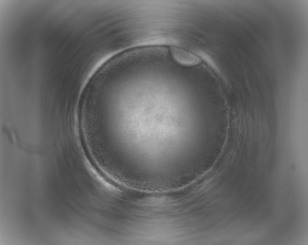 X0000067501468200604071213