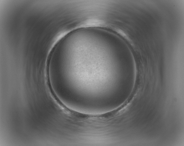 X0000067501469200604071213