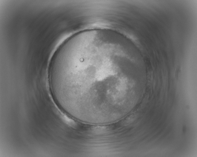 X0000067501470200604071213