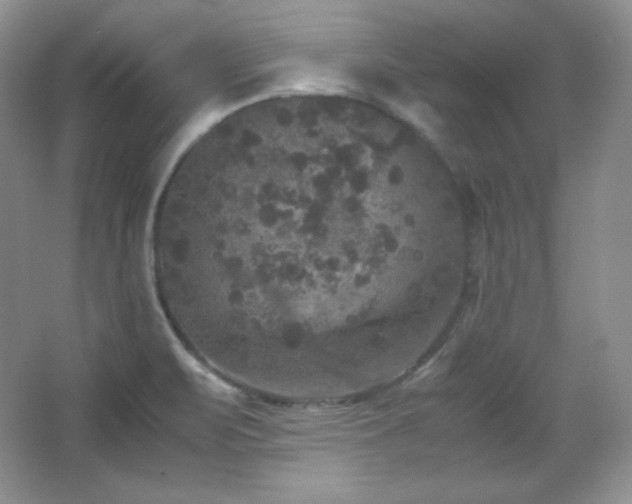 X0000067501471200604071213