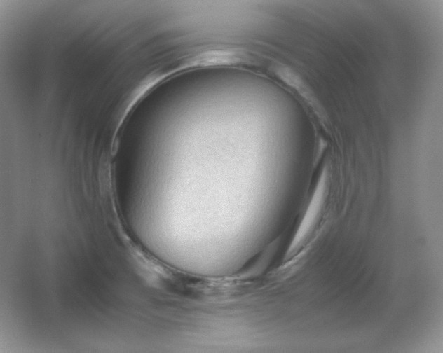 X0000067501473200604071213