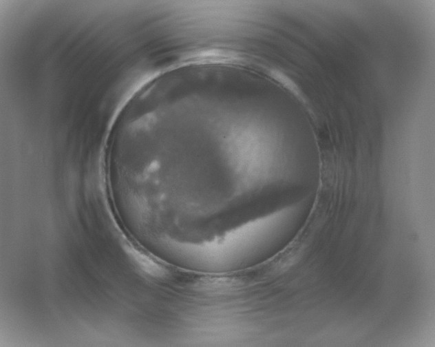 X0000067501474200604071213