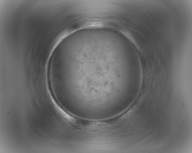 X0000067501475200604071213