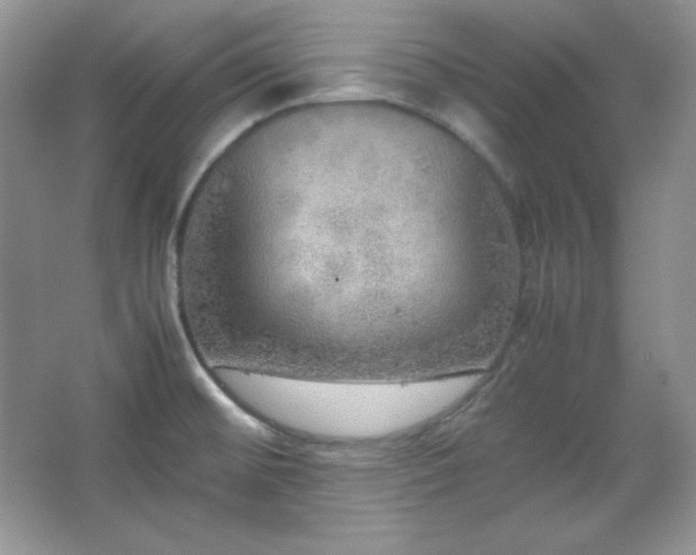 X0000067501476200604071213