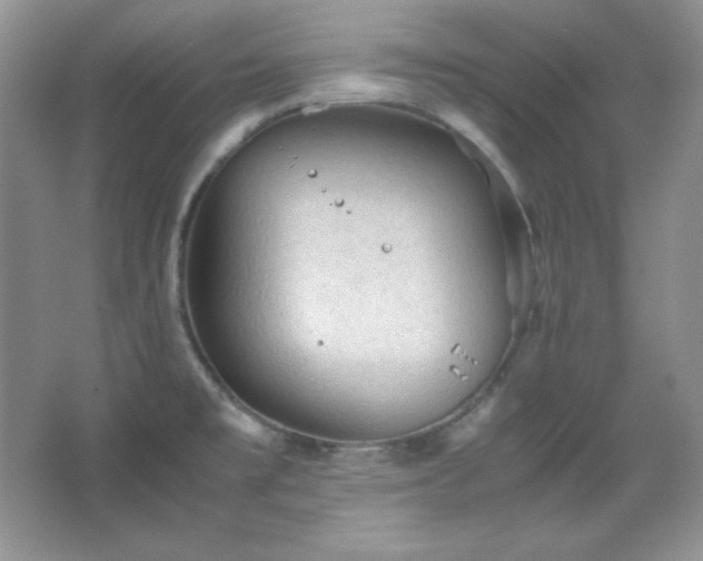 X0000067501477200604071213