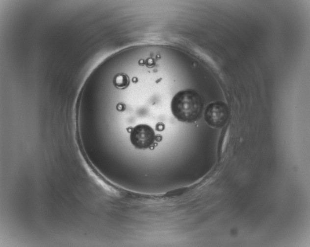 X0000067501479200604071213