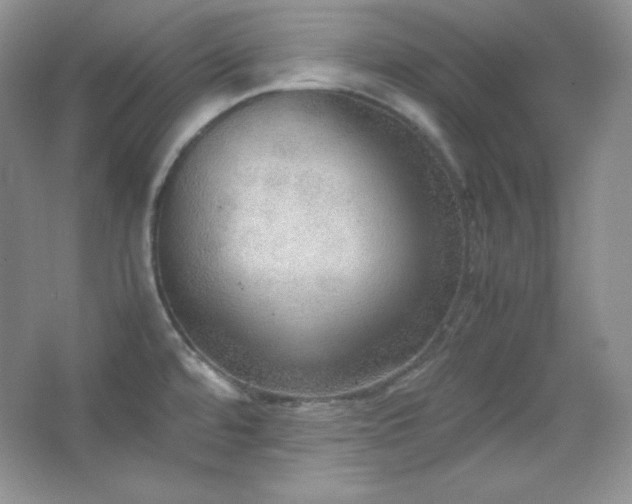 X0000067501480200604071213