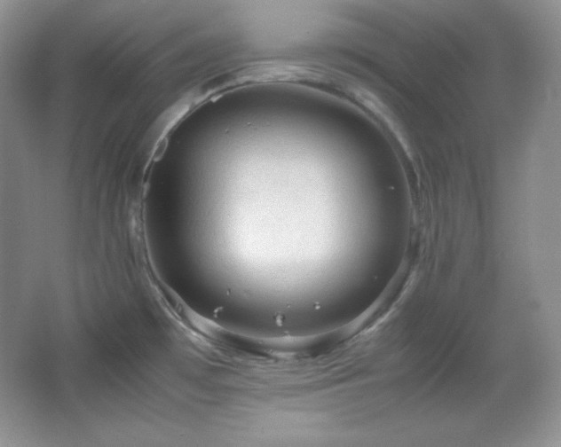 X0000067501481200604071213