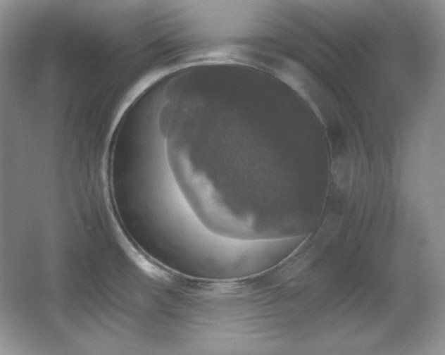 X0000067501482200604071213