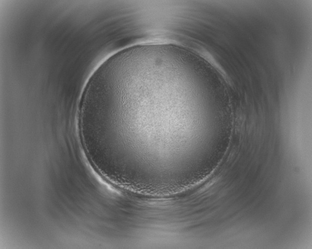 X0000067501484200604071213